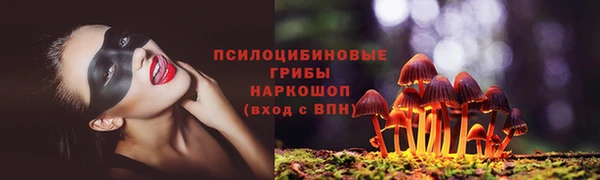COCAINE Белокуриха