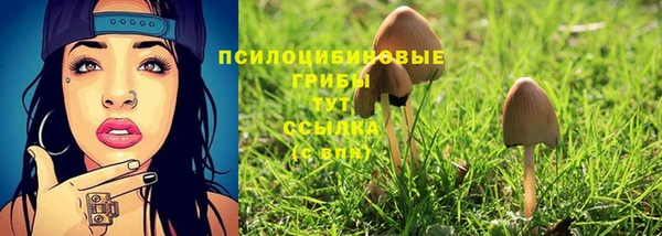 дживик Баксан